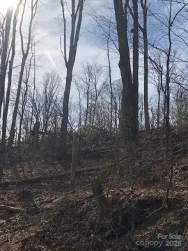 Hendersonville Land with Building Potential