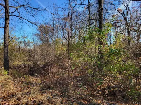 Residential Land Near Lake Leann
