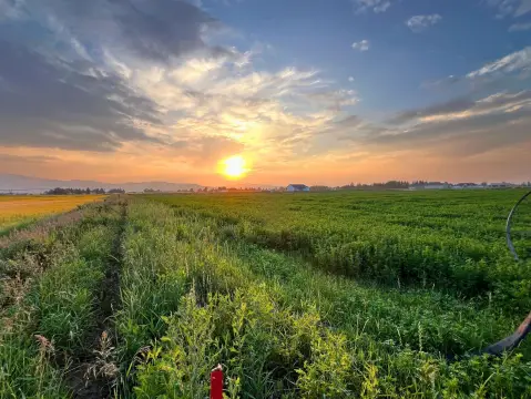 Grace, ID Residential Land