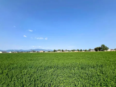 Grace, ID Residential Land