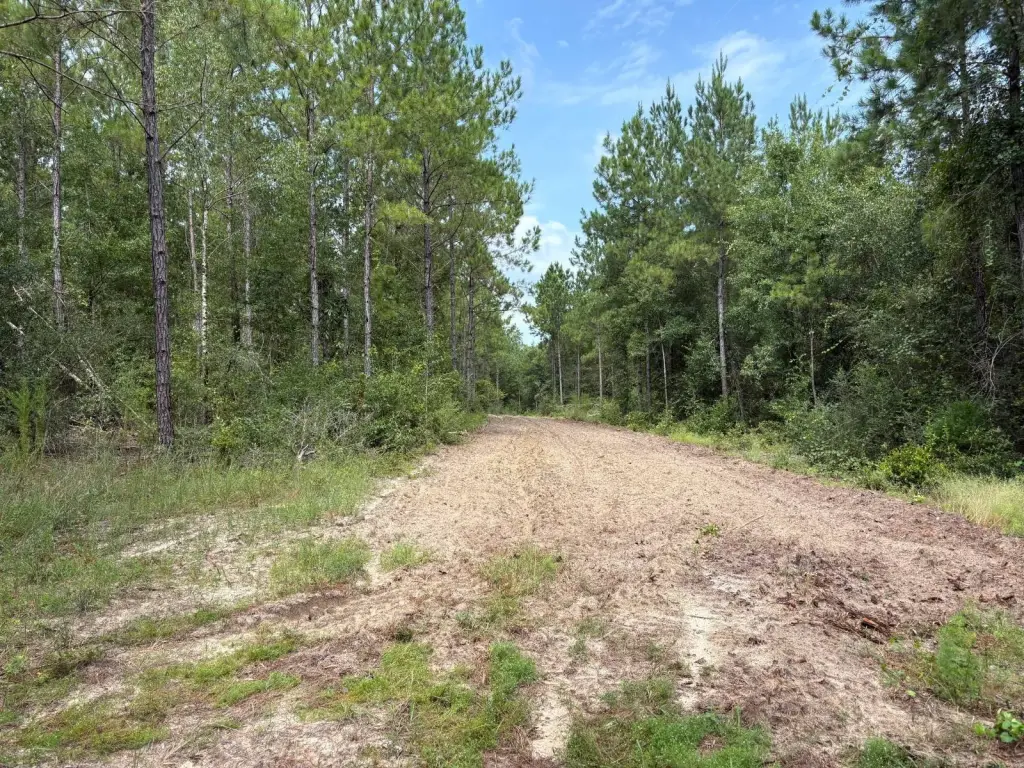 Picture 36