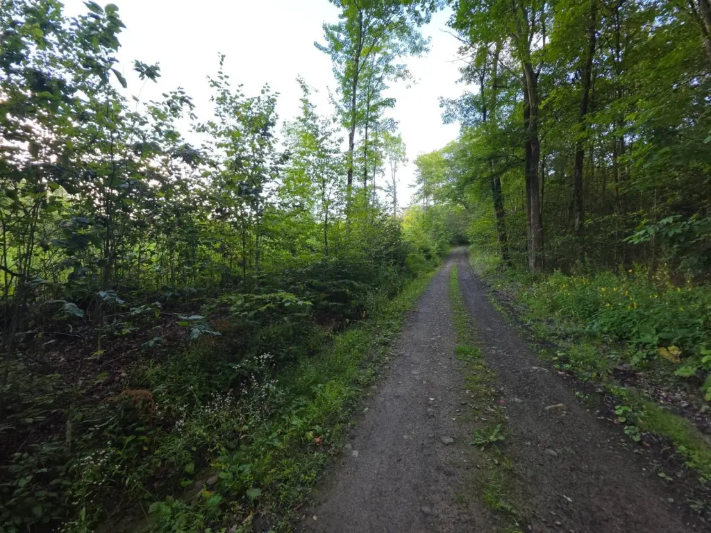 Picture 30