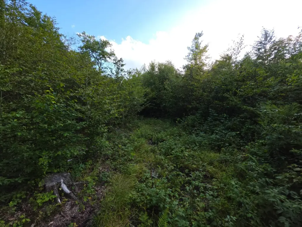 Picture 23