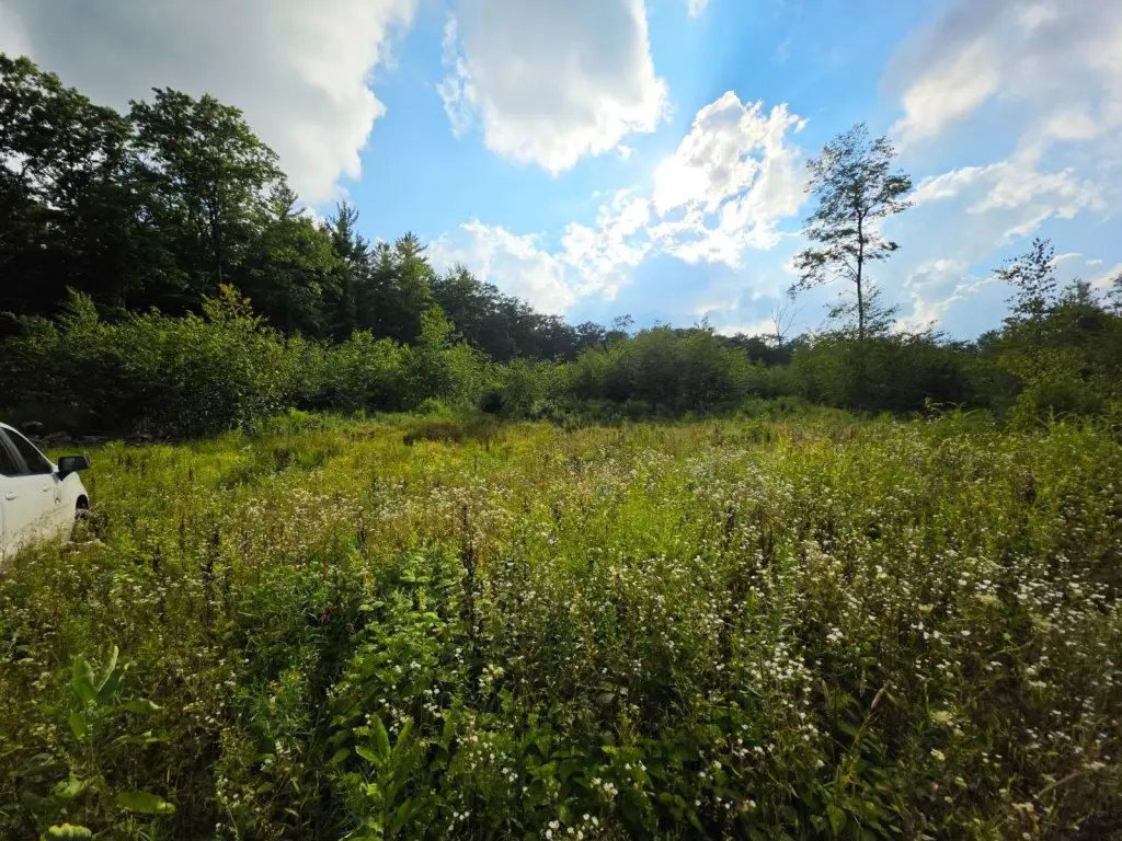 Picture 2