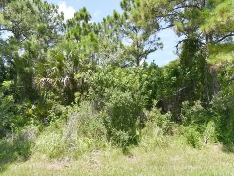 Port St. Lucie Corner Lot