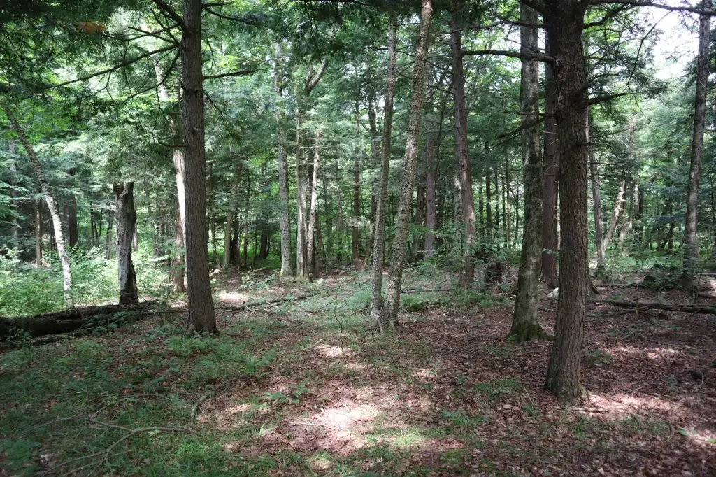 Picture 17