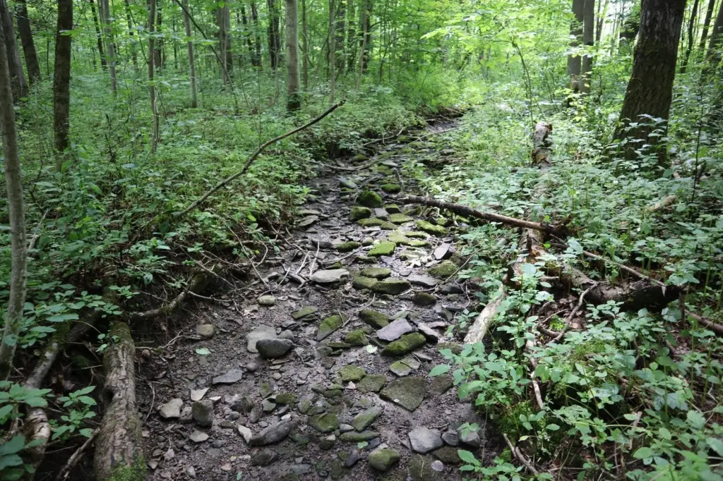 Picture 21