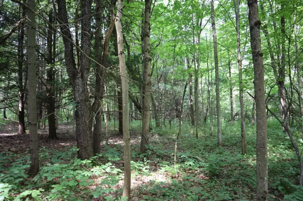 Picture 22