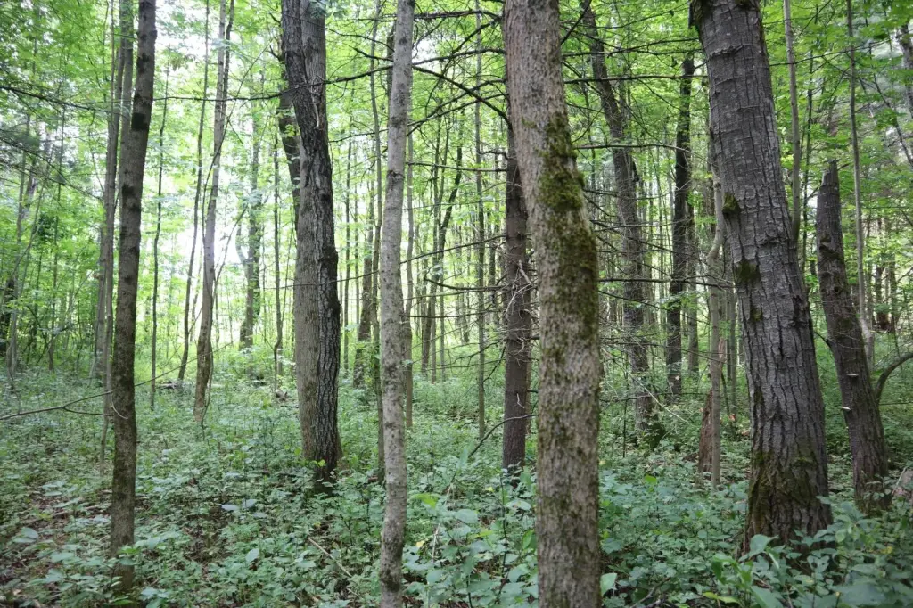 Picture 31
