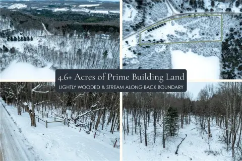 Buildable Land with Mature Forest