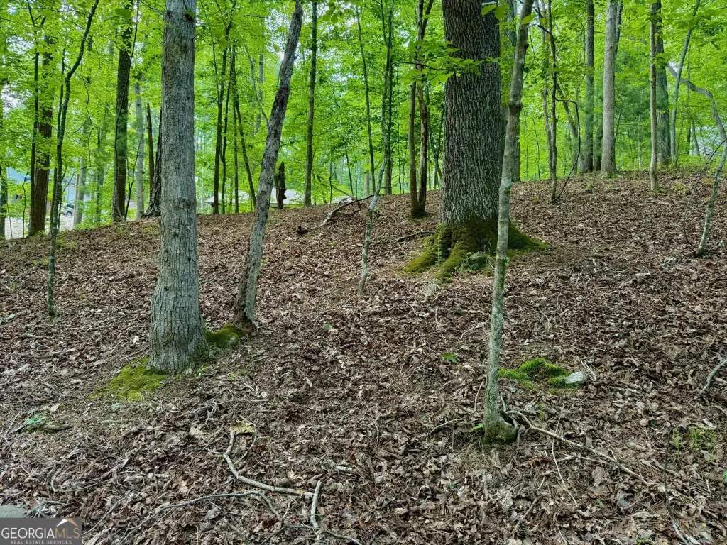 Picture 17