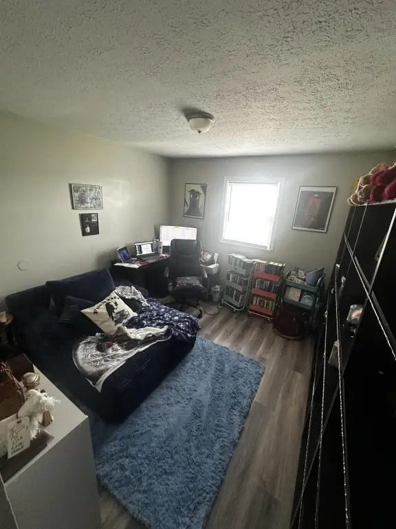 Picture 10