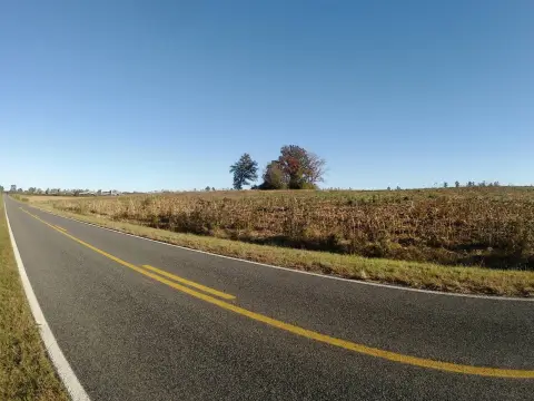 81 Acres Cleared Land, Ellerbe