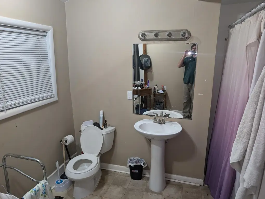 Picture 6