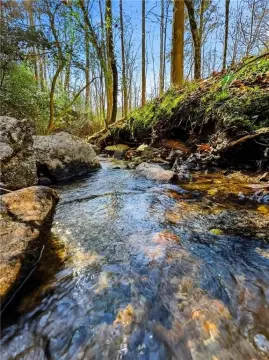 Dahlonega Land with Creek Frontage