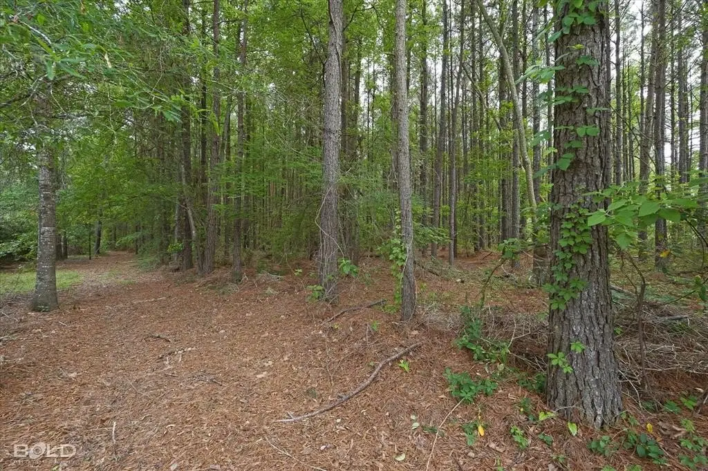Picture 24