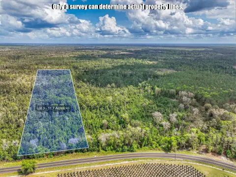 Crescent City Acreage for Sale