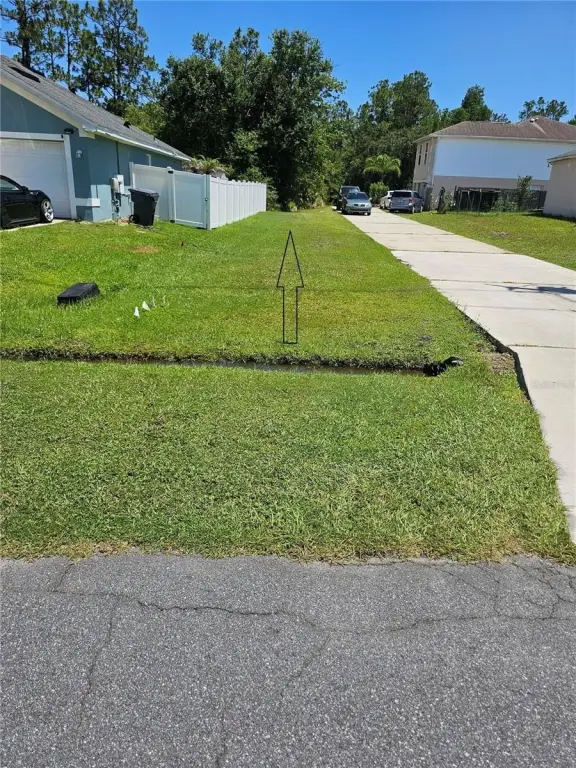 Picture 5
