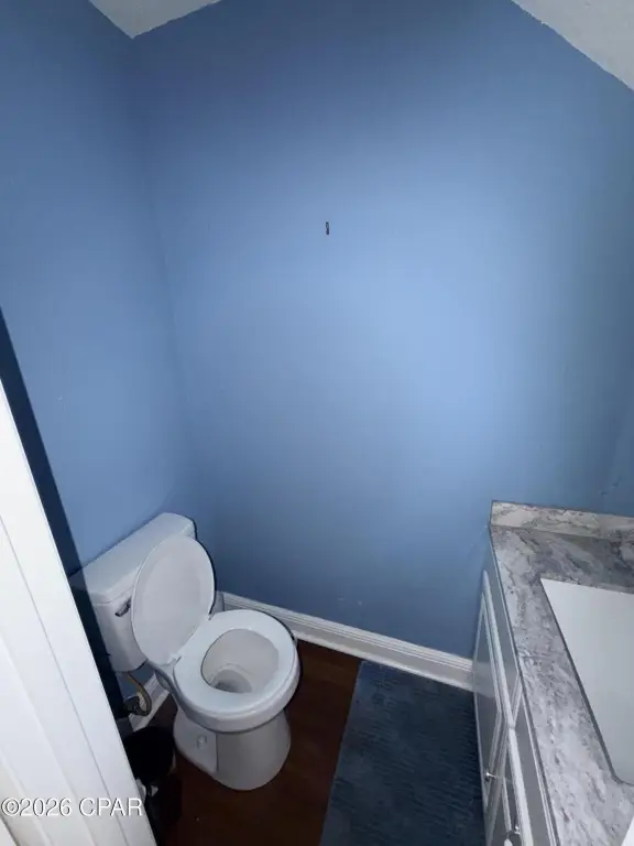 Picture 3