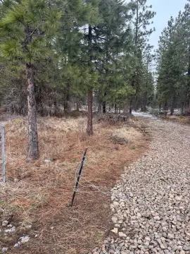 Lenore, ID Treed Land Parcel