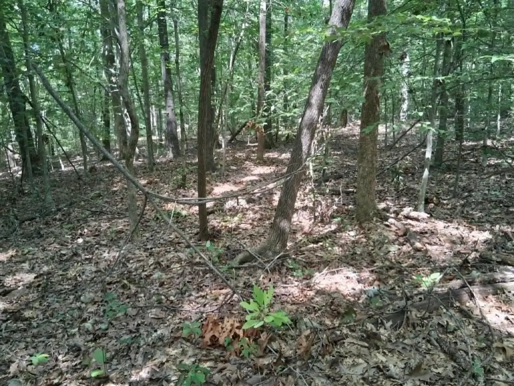 Picture 9