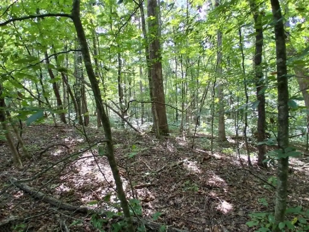 Picture 11