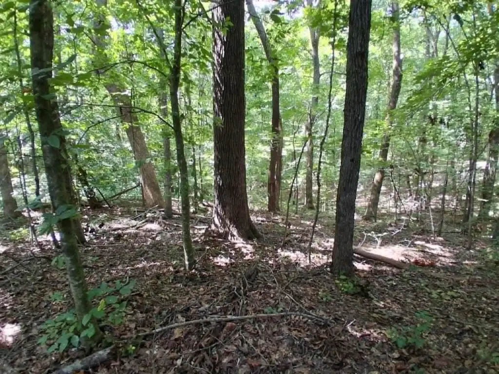 Picture 10