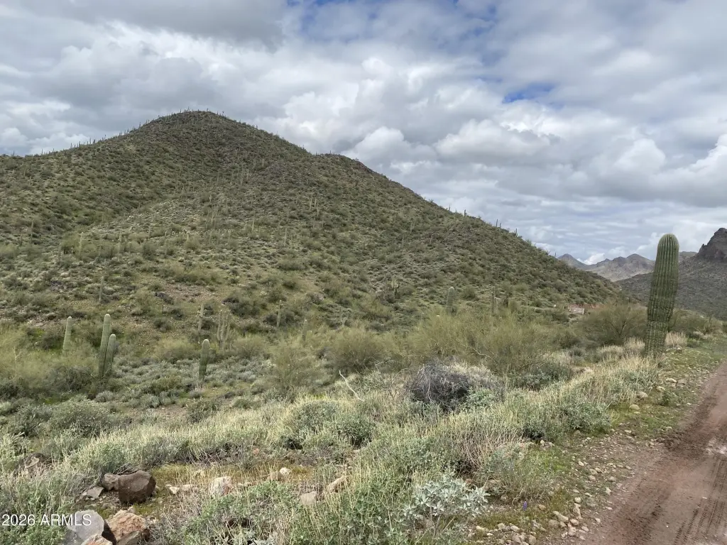 Picture 25