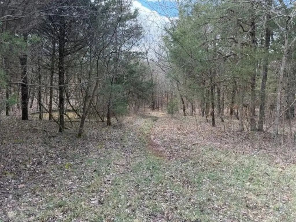 Picture 14