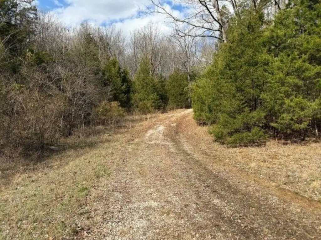 Picture 4