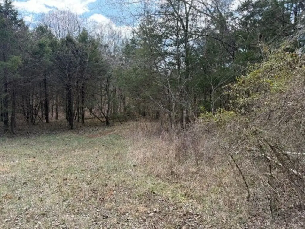Picture 16