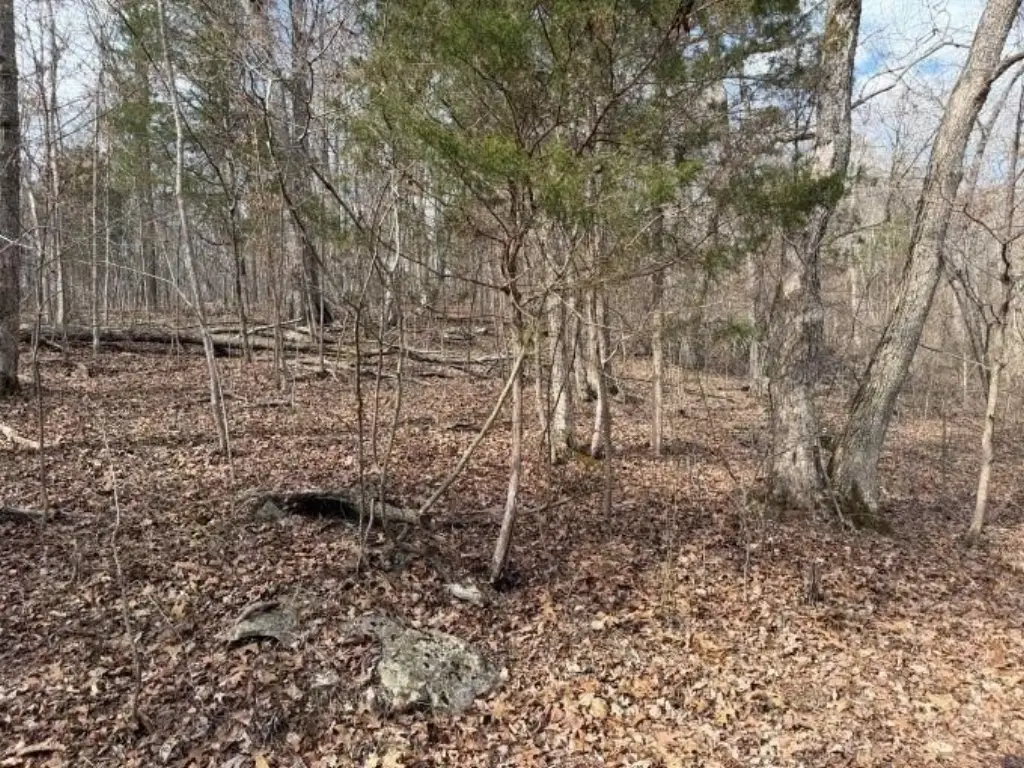 Picture 5