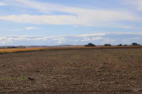 Irrigated Farmland with Shop and House