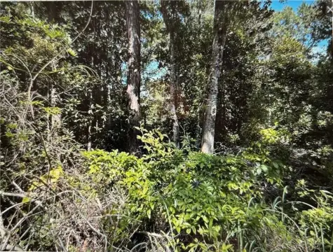 Residential Lot Near Waterfront