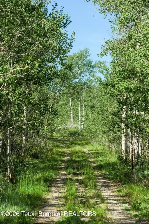 Picture 13