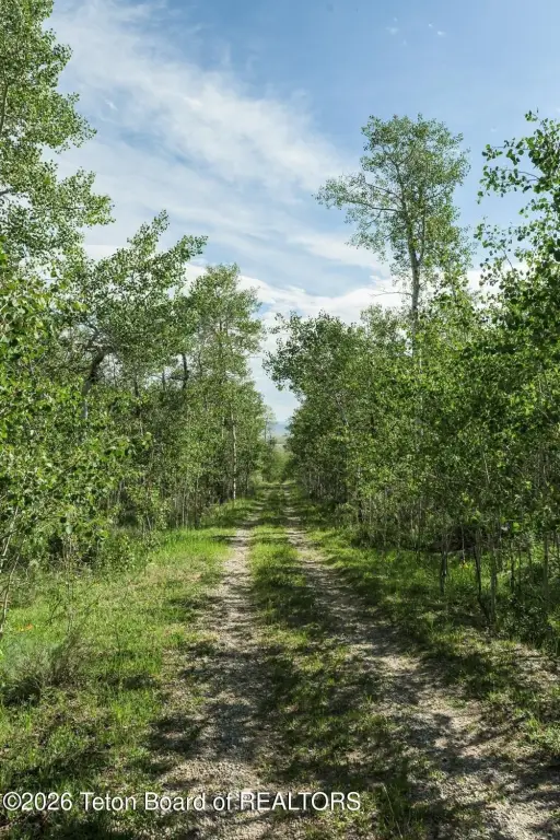 Picture 22