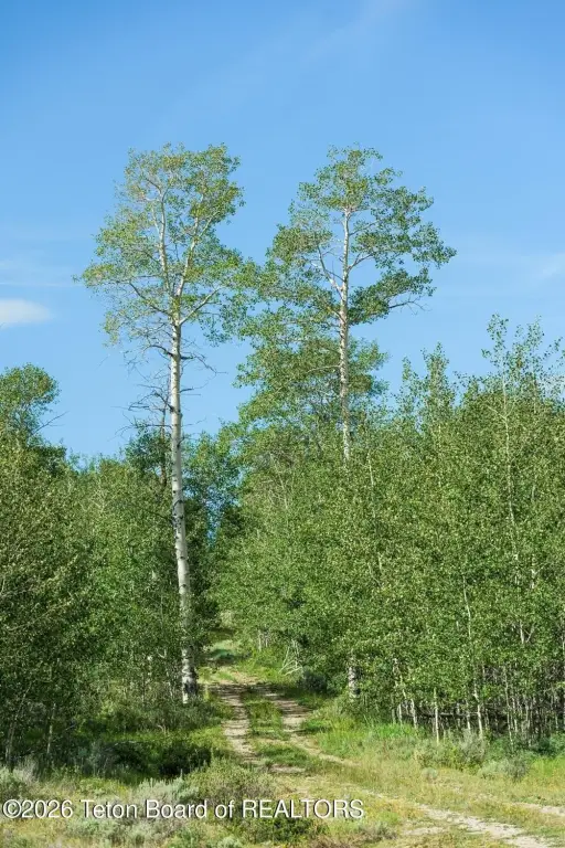 Picture 35