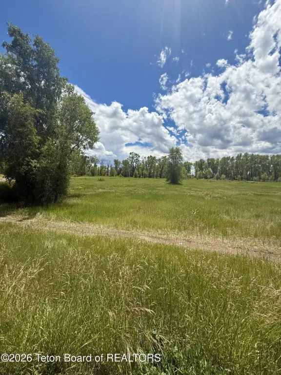 Picture 8