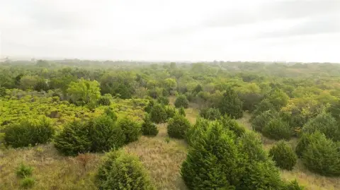 160 Acres Hunting and Building