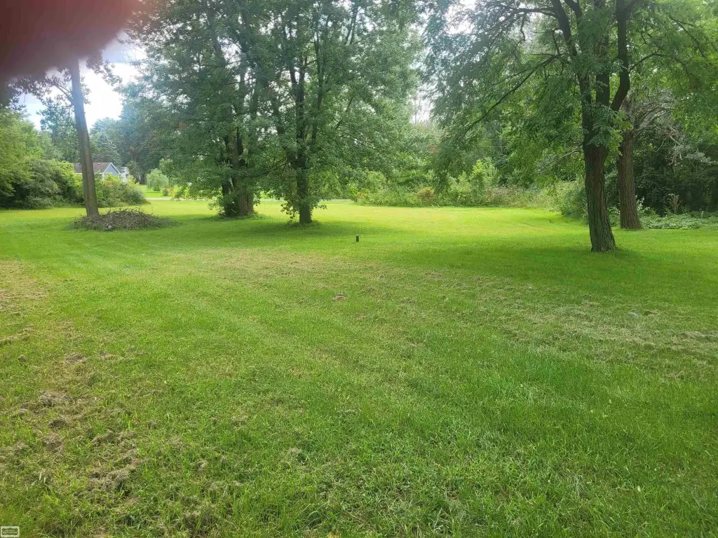 Picture 5