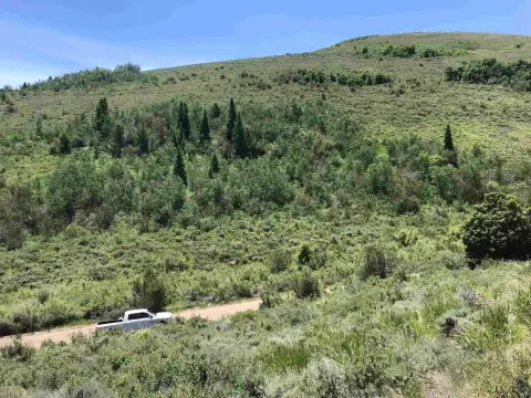 Mountain Property Near Bear Lake