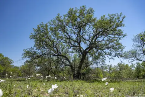 Natalia, TX 11-Acre Land