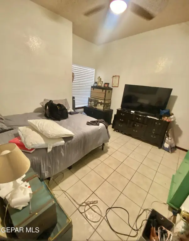 Picture 23