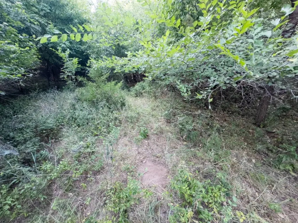 Picture 57