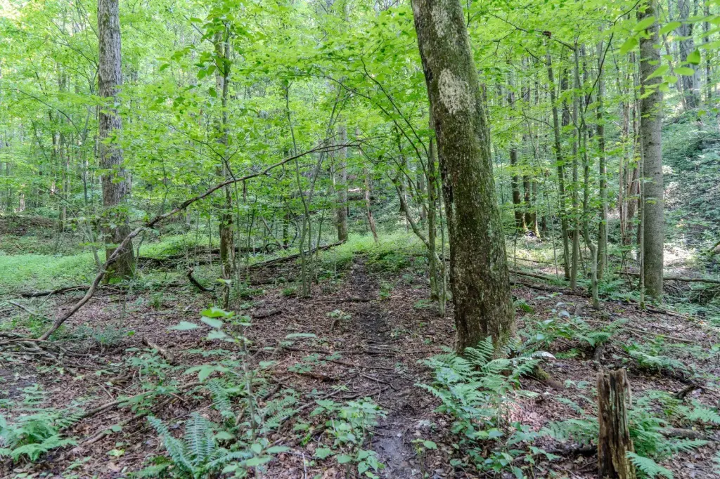 Picture 25