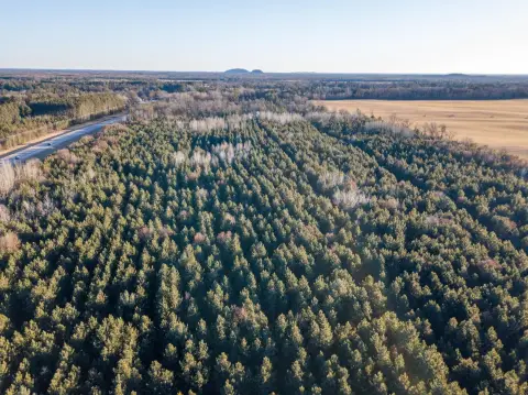 Wooded Land Near Big Roche