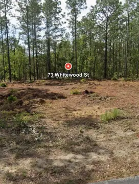 HOMOSASSA Land Ready For Building
