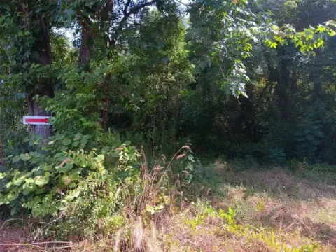 Heavily Wooded Land in Carthage