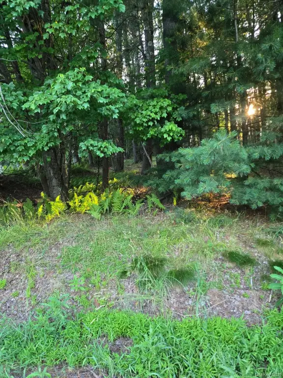 Picture 2