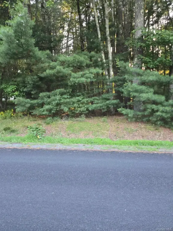 Picture 4